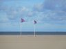 Les Drapeaux Deauville 2016.JPG - 